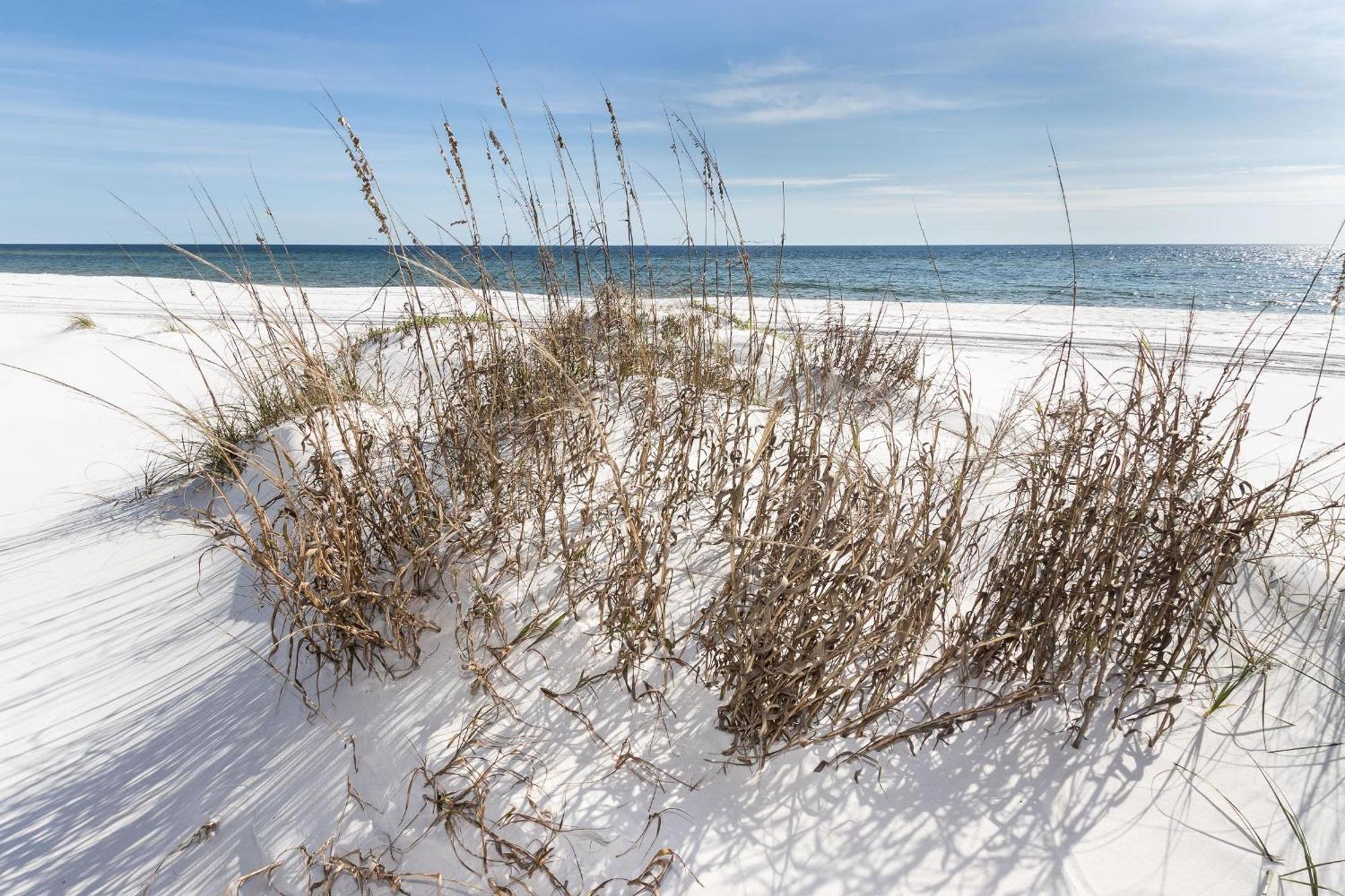 Nautilus 1201: Gulf Front Condo with Wrap-Around Balcony Fort Walton Beach Exterior photo